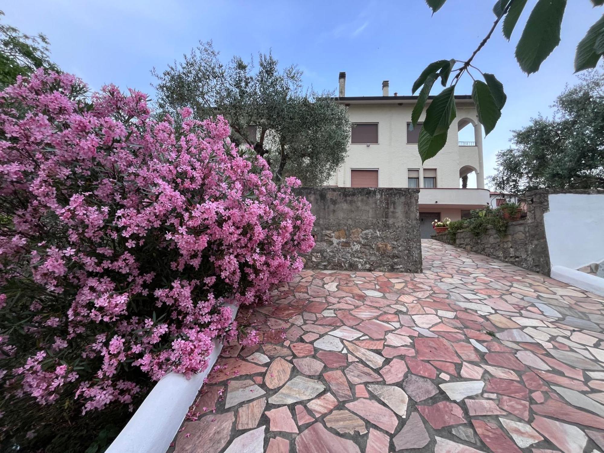 Apartament Casa Di Katia Collesalvetti Zewnętrze zdjęcie